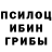 Псилоцибиновые грибы Cubensis Vasya Sugachenko