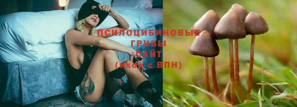 стафф Алексеевка