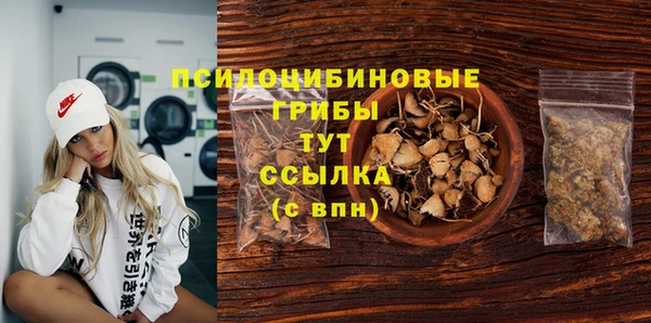 тгк Алексин