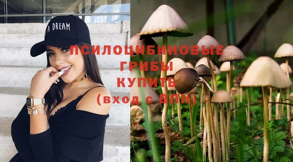 стафф Алексеевка