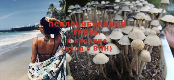 стафф Алексеевка
