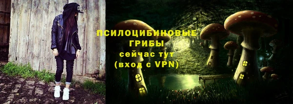 тгк Алексин
