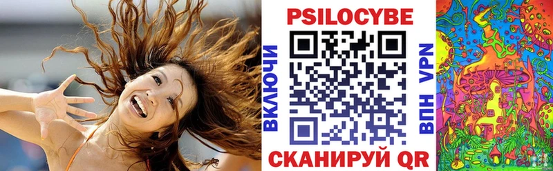 Галлюциногенные грибы Psilocybe  Набережные Челны 